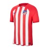 Officiële Voetbalshirt Atlético Madrid Thuis 2023-24 - Heren